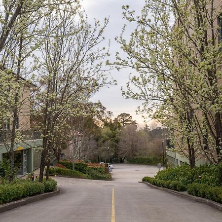 Leisure Inn Spires Леура Екстериор снимка